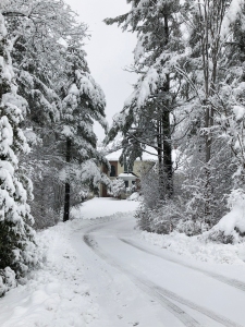 winter driveway